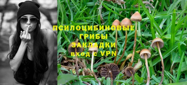 стафф Горно-Алтайск
