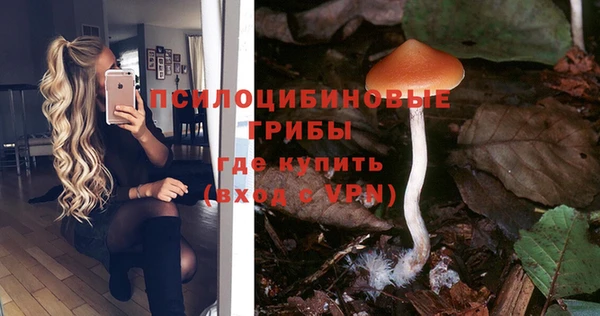 стафф Горно-Алтайск