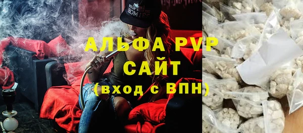 PSILOCYBIN Волосово