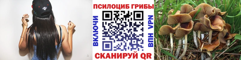 наркошоп  Задонск  Галлюциногенные грибы прущие грибы 